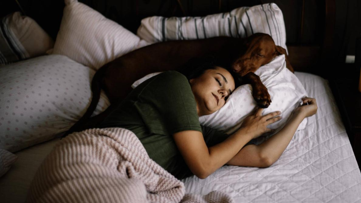 ¿En cuánto tiempo un perro se olvida de su dueño?