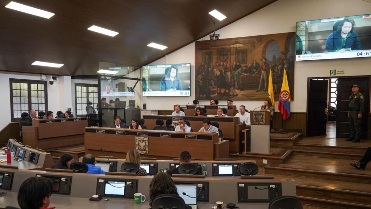 Concejo de Bogotá aprobó en primer debate el proyecto de acuerdo que busca reducir inseguridad en puentes de la ciudad