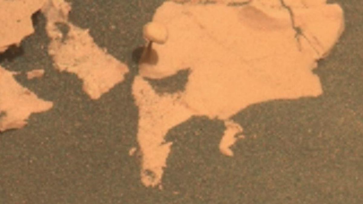 ¿Un hongo en Marte? El róver Perseverance encuentra una roca en forma de seta