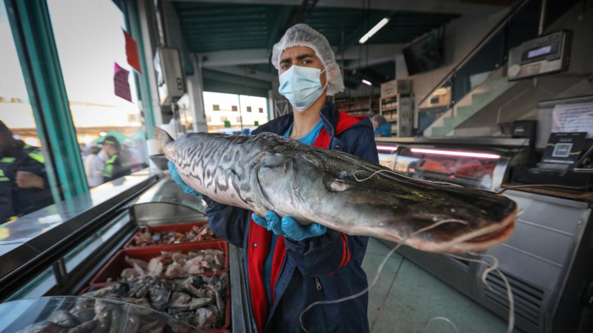 El precio del pescado cae gracias a la inflación