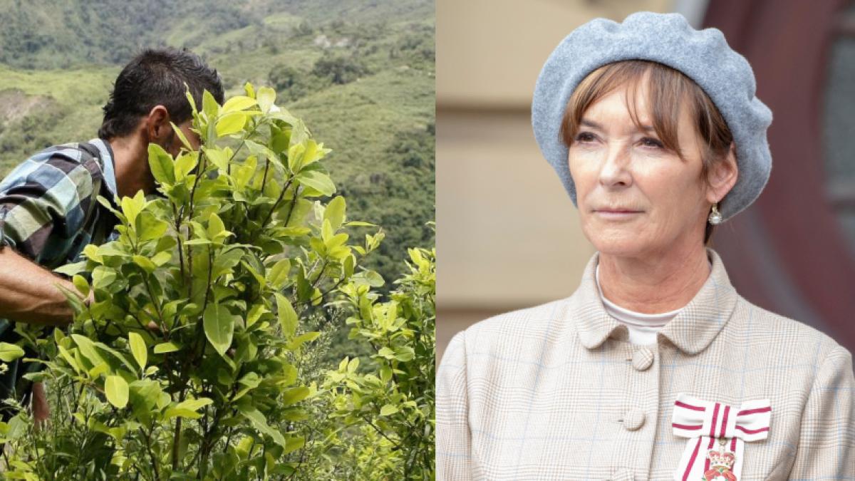 Exclusivo: habla duquesa británica que busca que gobierno de Colombia le envíe coca