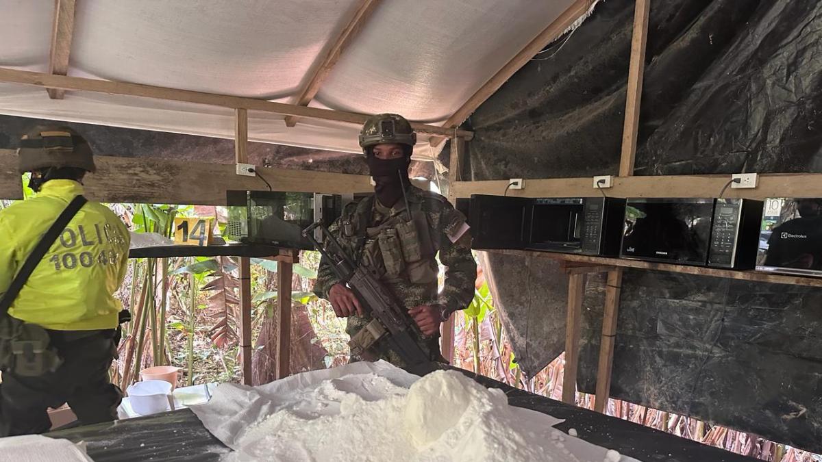 Mindefensa, 2024 yılının ilk çeyreğinde 224 ton koka ele geçirildiğini bildirdi