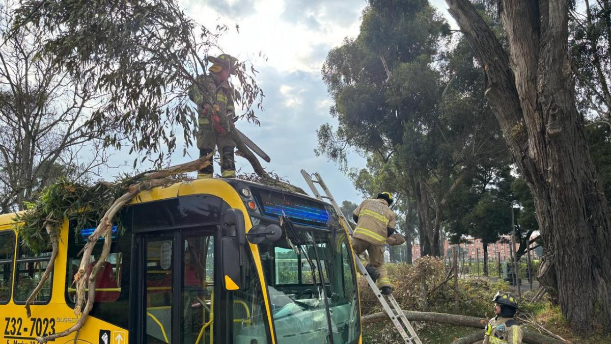 Un árbol cayó sobre bus del Sitp en el norte de Bogotá: no hay personas heridas