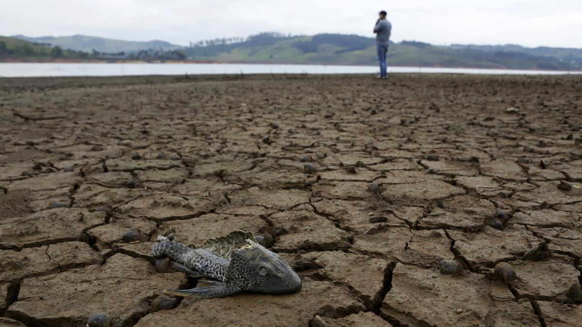 La sequía sigue afectando al Valle del Cauca