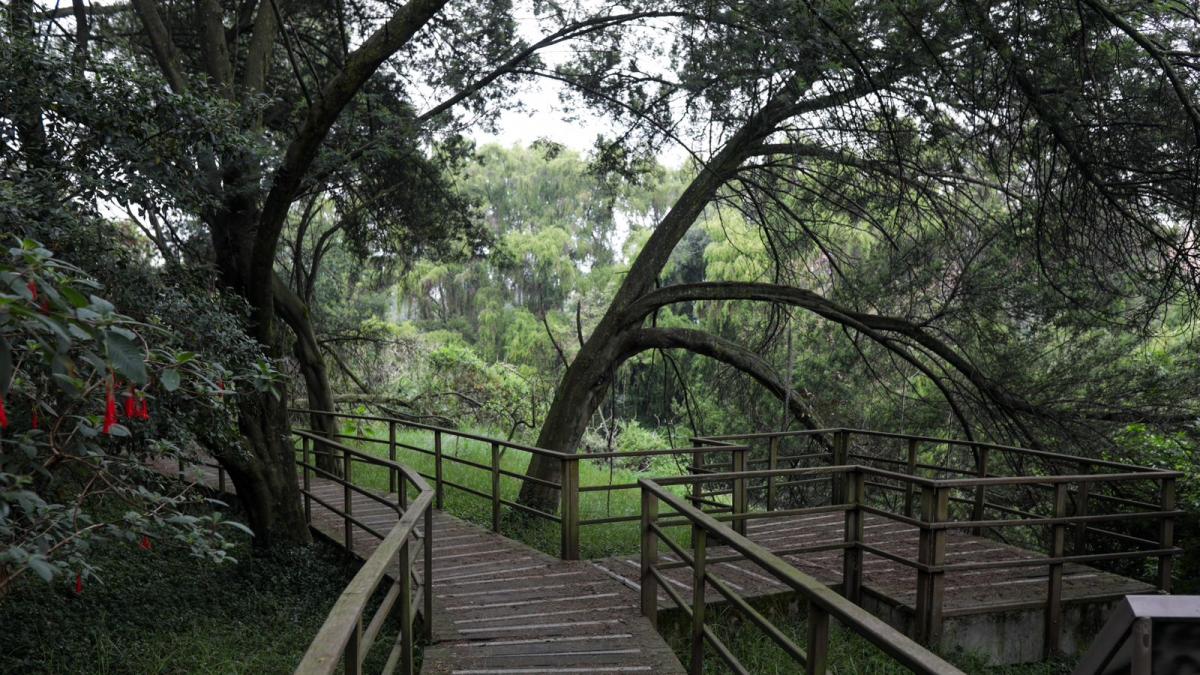 Se inaugura el corredor ambiental humedal Córdoba, al norte de Bogotá: tiene senderos elevados