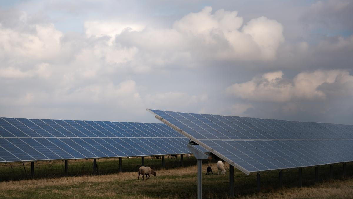 El mal momento de la industria alemana de paneles solares, acorralada por fabricantes chinos