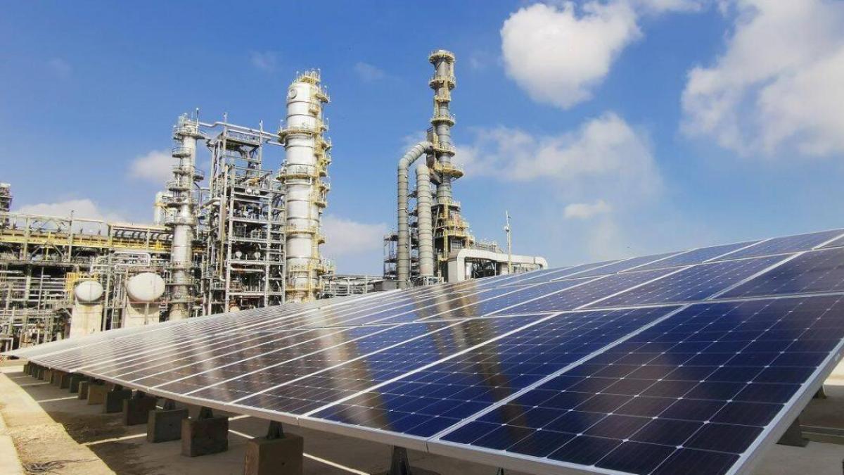 Refinería de Cartagena busca usar un derivado del petróleo para mejorar suelos de bosques forestales