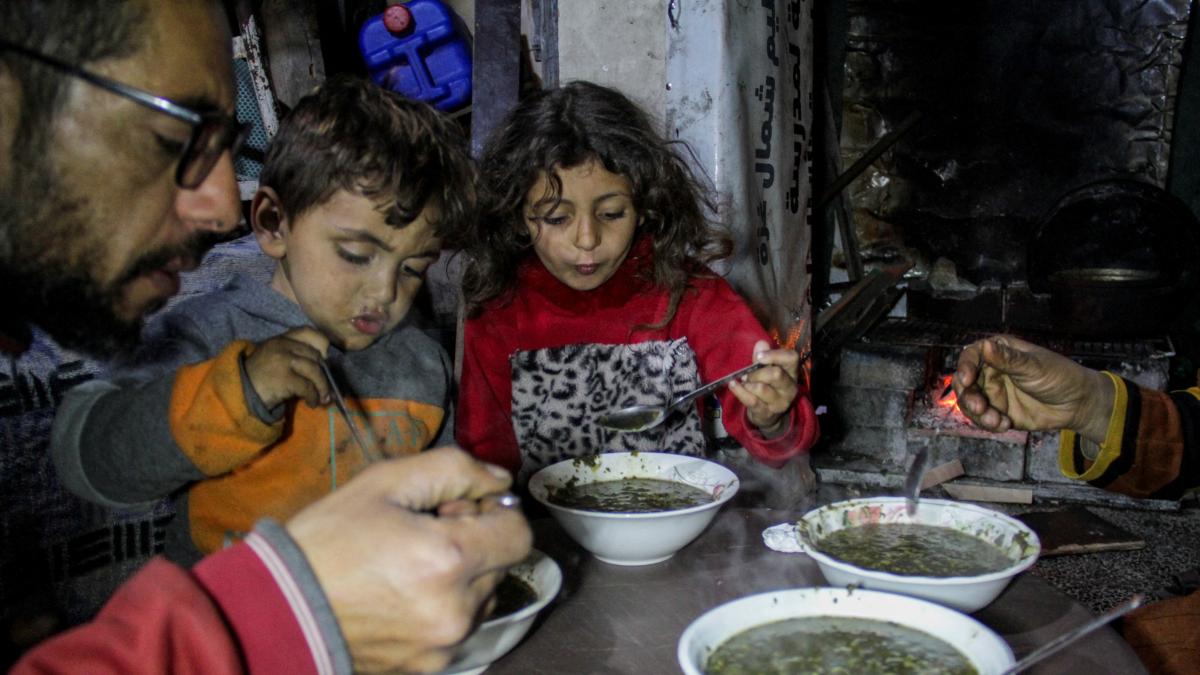El hambre en Gaza obliga a los civiles a alimentarse con plantas de matorrales