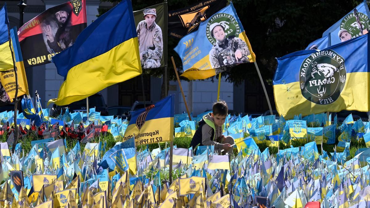 Las posibilidades que ofrecería un alto al fuego en Ucrania