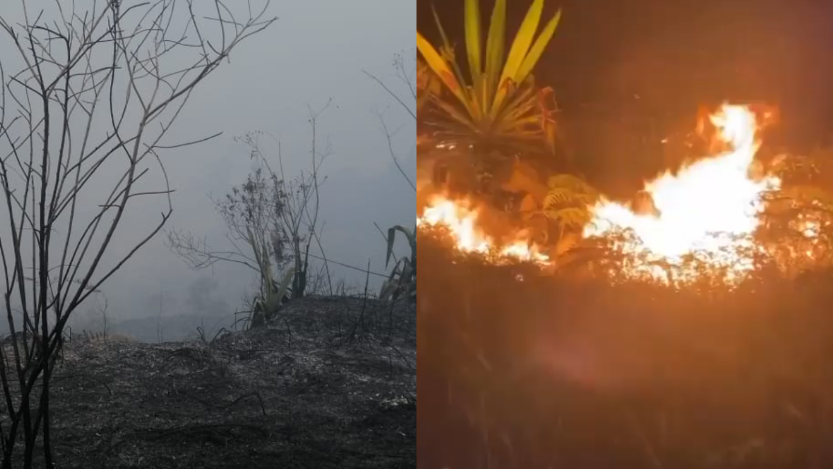 Emergencia por grave incendio forestal en Chipaque; videos muestran el avance de las llamas