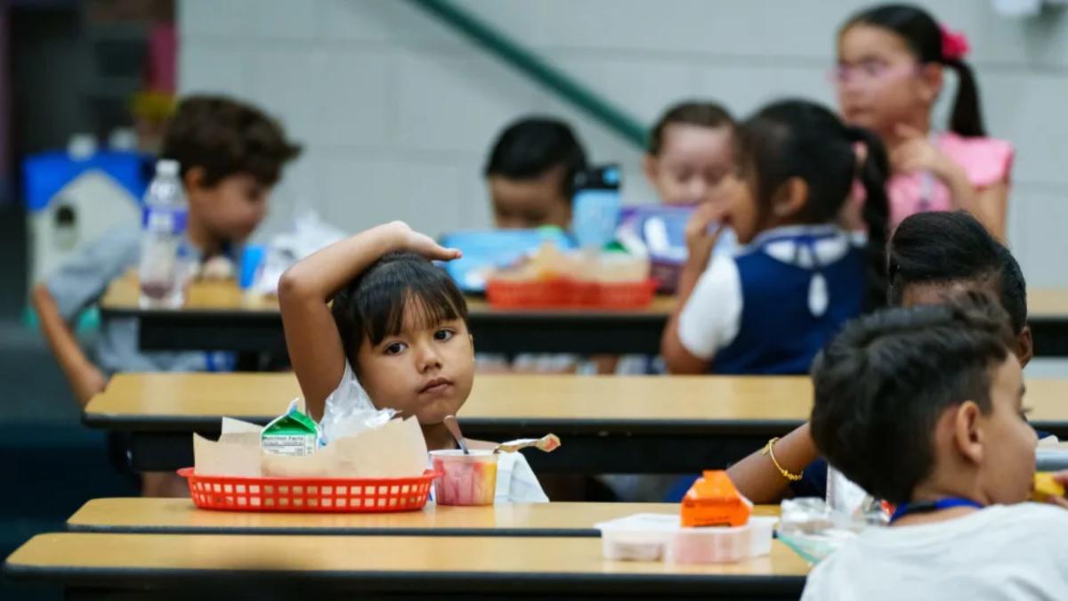 El estado de EE. UU. donde la comida en las escuelas es gratis sin enviar una solicitud