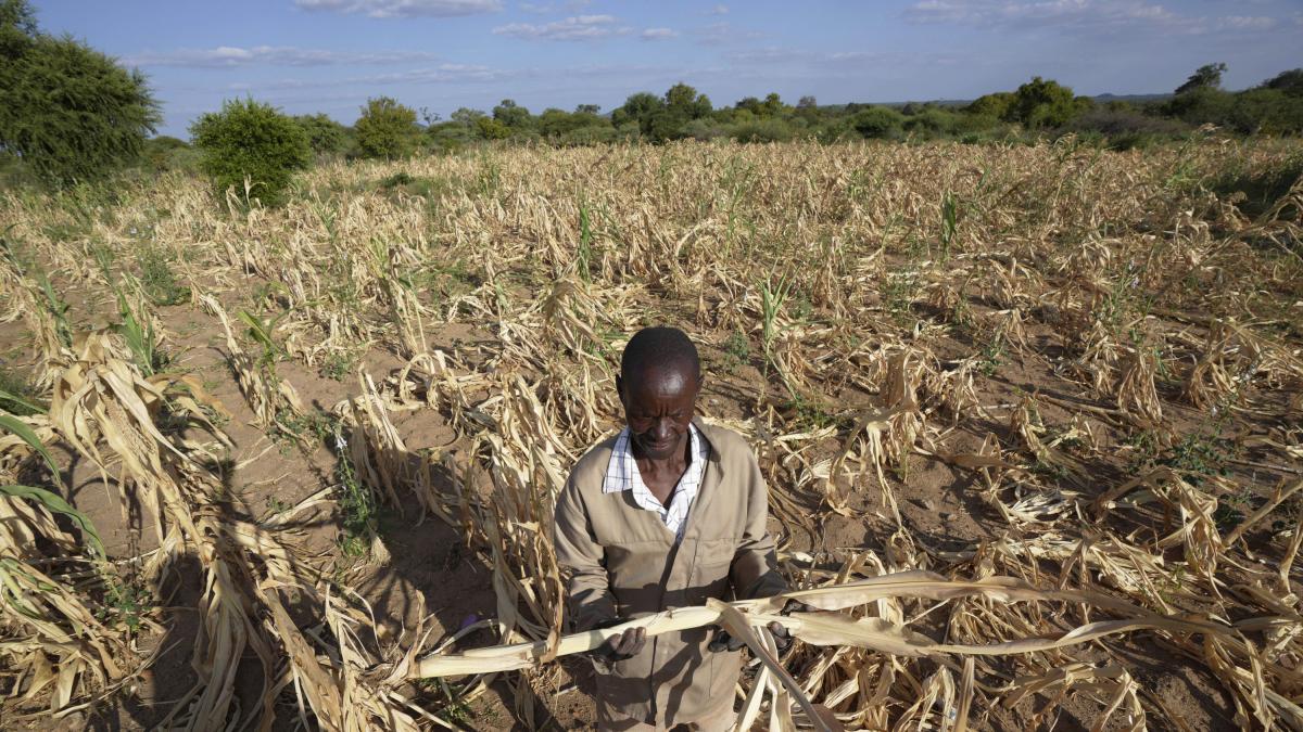 Estos son los tres países de África que tienen ‘hambreaguda’ entre sus habitantes