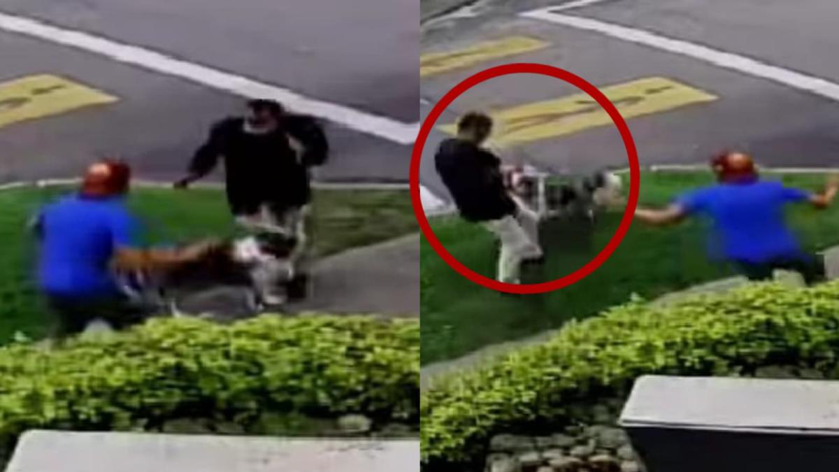 En Bogotá, un perro protegió a su dueño de un robo al morder al agresor en el video.