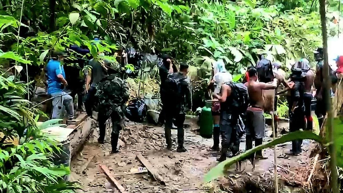 Con minas antipersona, grupos armados protegían laboratorio de cocaína en Tumaco