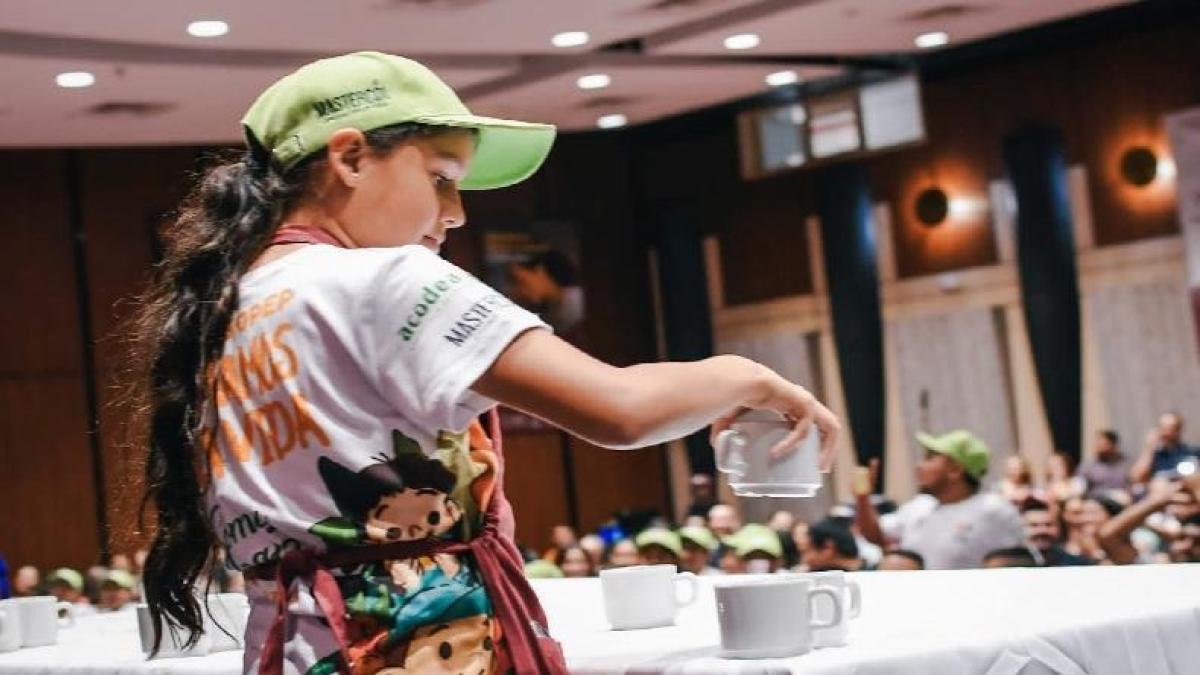 Así nació la primera escuela de café del país: capacita a 4.000 jóvenes en Tolima