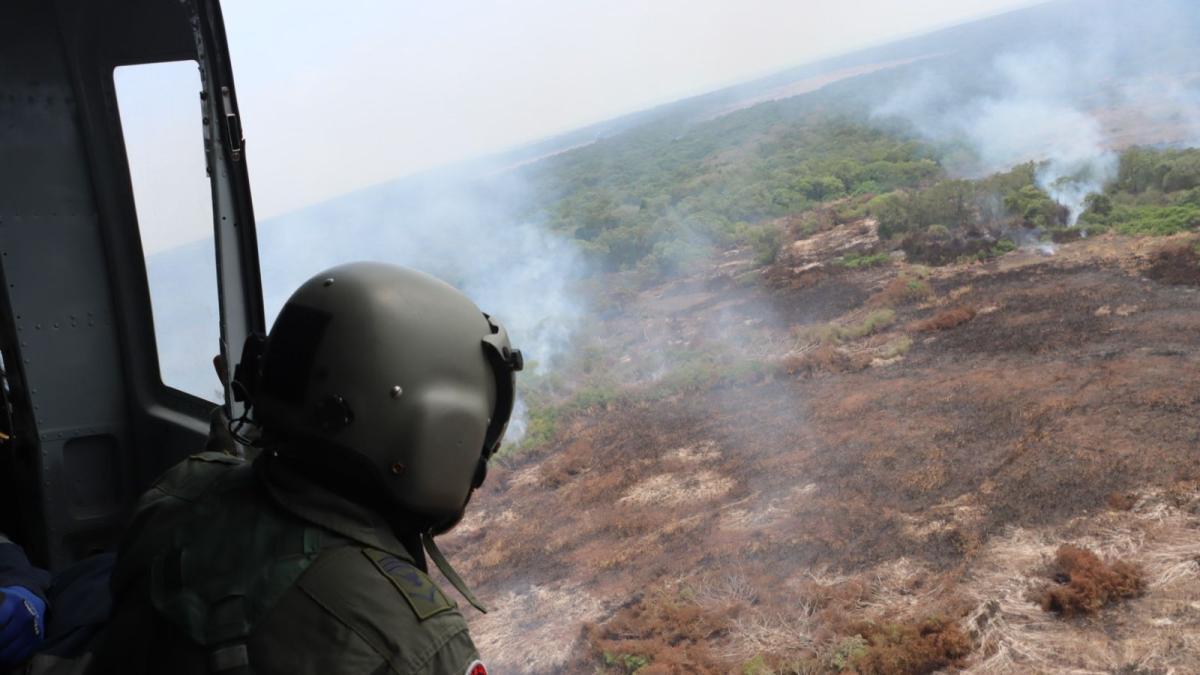 Caza ilegal y extracción de carbón vegetal habrían ocasionado emergencia en Isla Salamanca