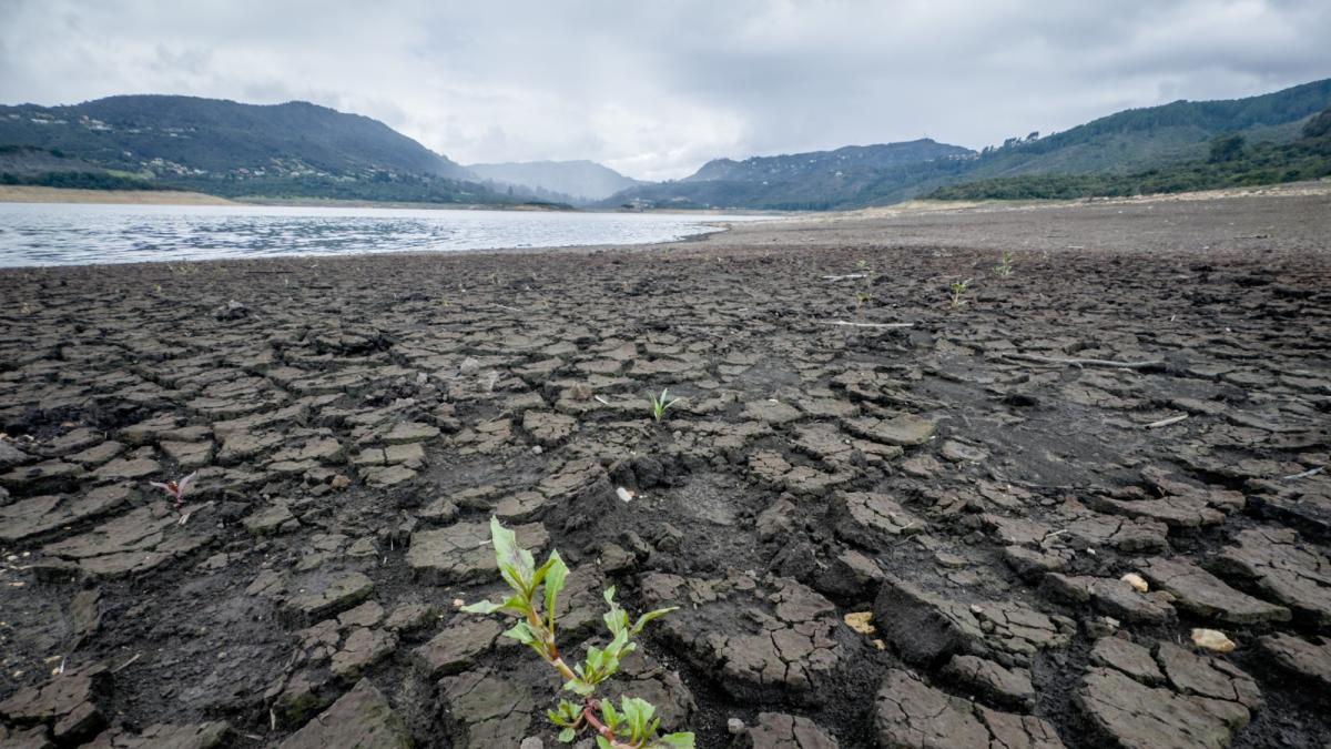 No se vuelvan complacientes con la conservación del agua en Bogotá, ya que la crisis todavía está en curso