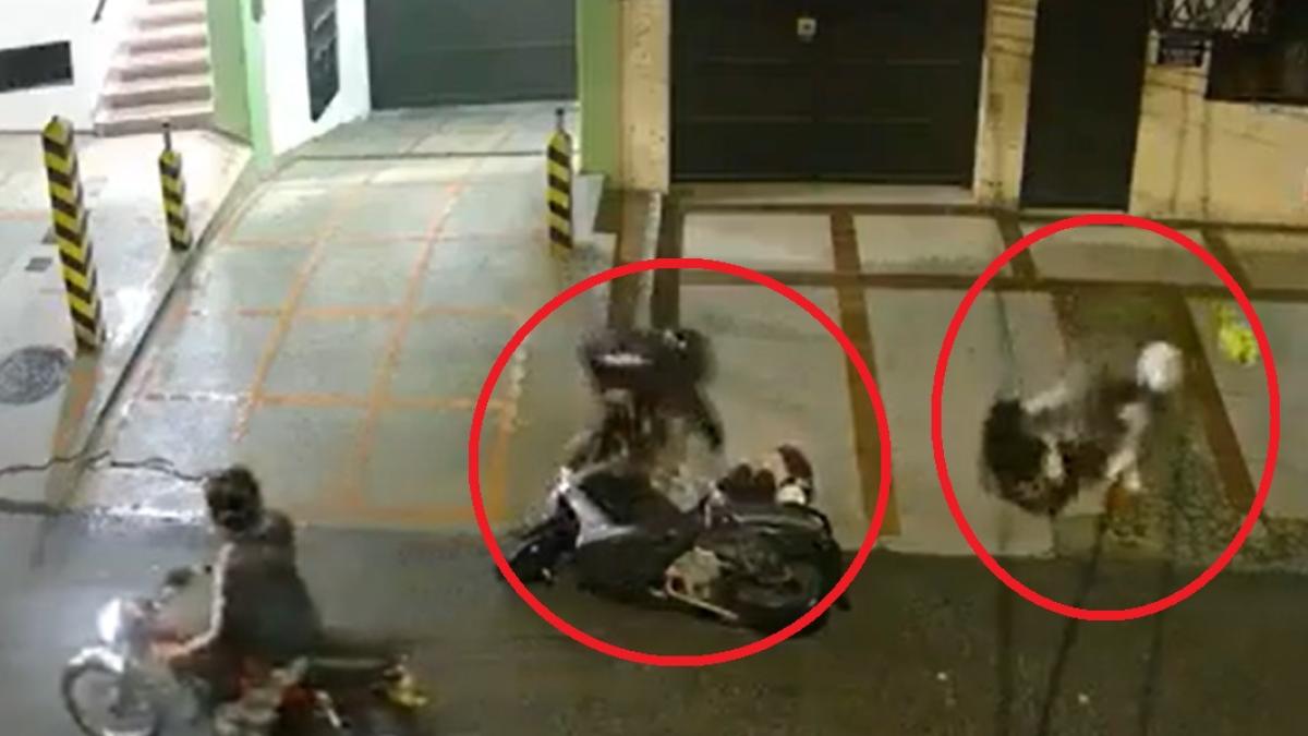 Indignante video: fuerte emboscada de motoladrones que roban y golpean a mujeres en moto