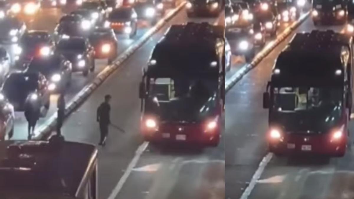 En video: pánico en TransMilenio por riña con arma blanca dentro de un bus en Bogotá