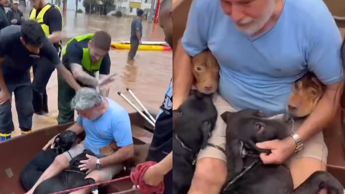 Emotivo video: hombre arriesgó su vida por salvar a sus perritos de las inundaciones en Brasil