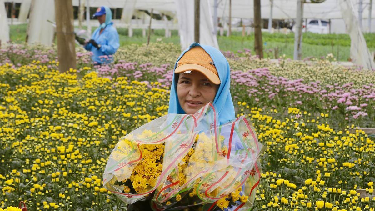 ¿Cuánto destinarán este año los colombianos para celebrar el Día de las Madres?, esto revela estudio de Kantar