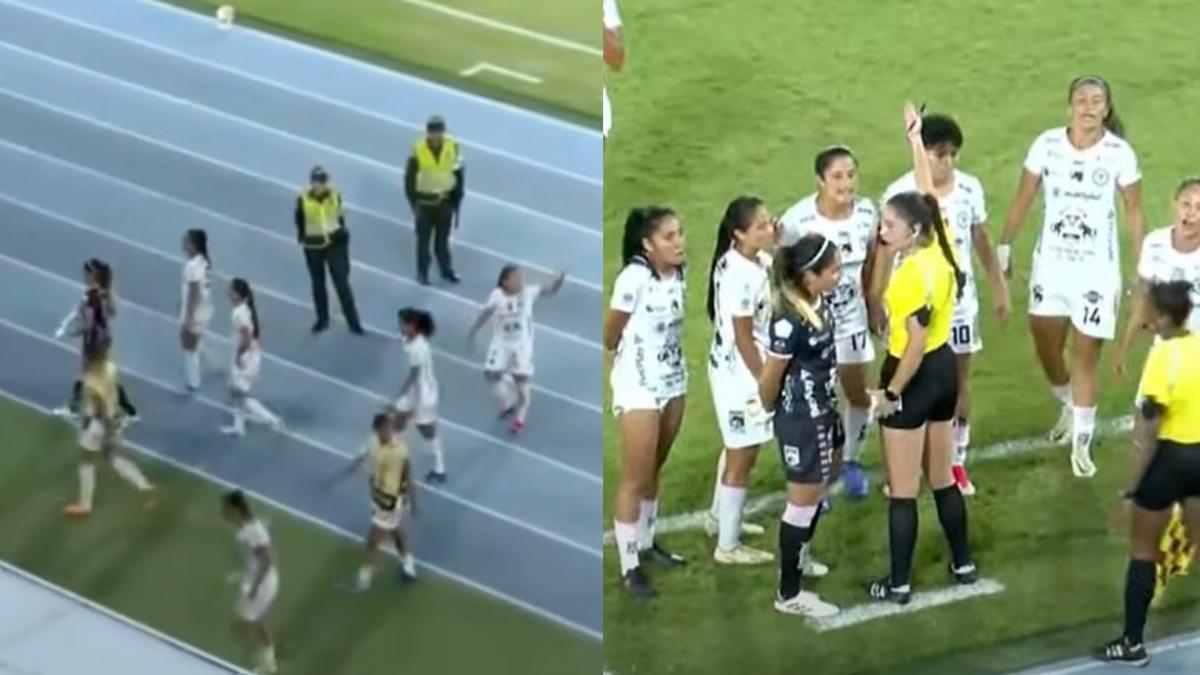 Multa, derrota y castigo a jugadora: la sanción a Llaneros por retirarse del partido contra América de la Liga femenina