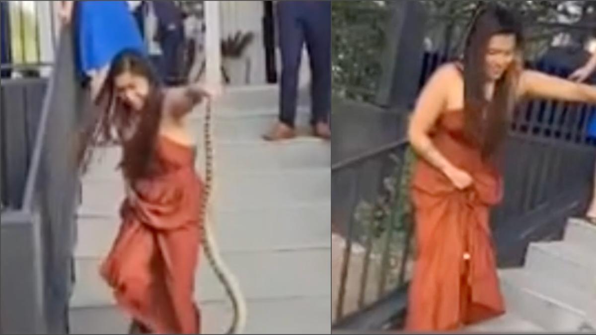 Una serpiente irrumpió en la boda de su hermana y tomó acciones contundentes