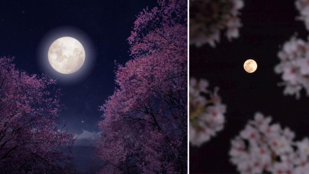 Luna de Flores 2025 en Colombia: cuándo será, qué significa y cómo ver este fenómeno astronómico