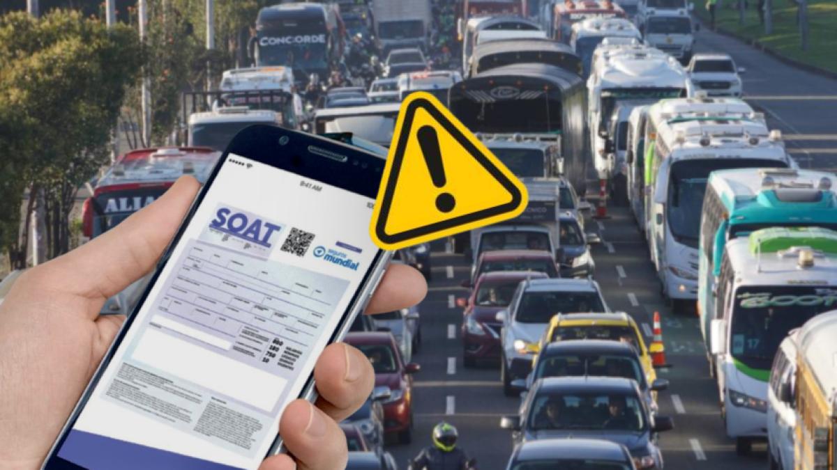 El beneficio para sacar mas barato el Soat que pocas personas conocen: varios han logrado descuentos