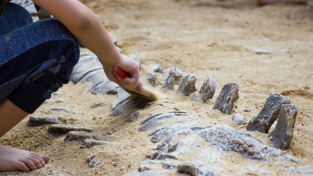 El hallazgo histórico de 3 niños en EE. UU.: encontraron un fósil de siglos atrás y esto pasó