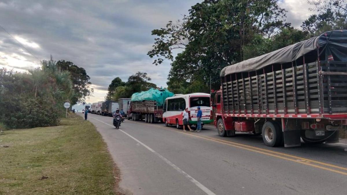 Denuncian nuevos retenes ilegales por disidentes en la vía Panamericana, entre Cali y Popayán 