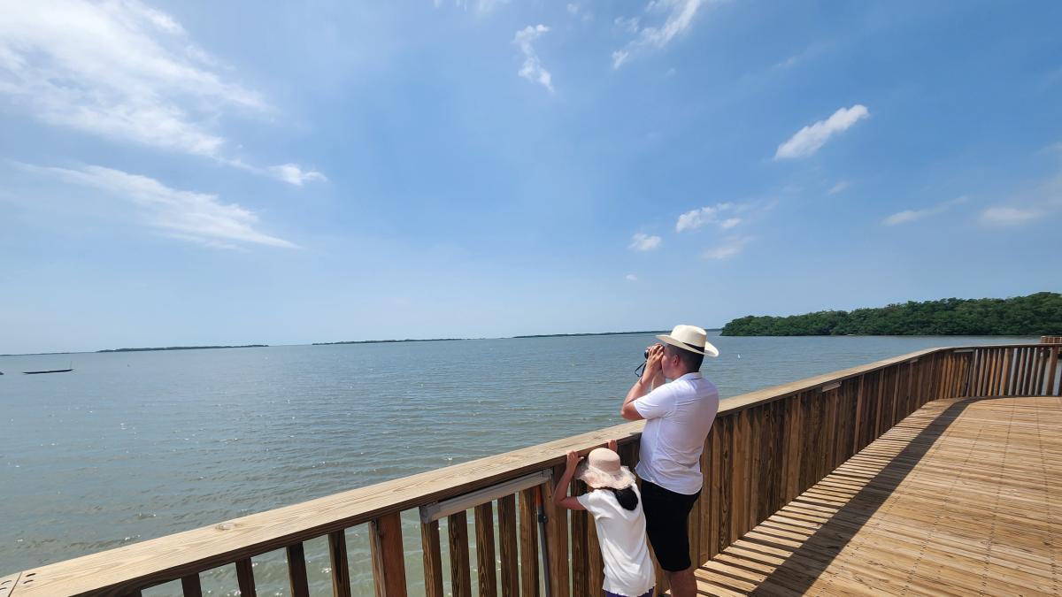 Barranquilla destaca en la COP16 proyectos como el Gran Malecón y el Ecoparque de Mallorquín