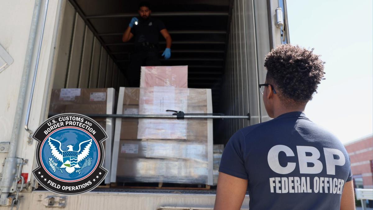 CBP inspeccionaba paquetes de correo y encontró en uno algo insólito