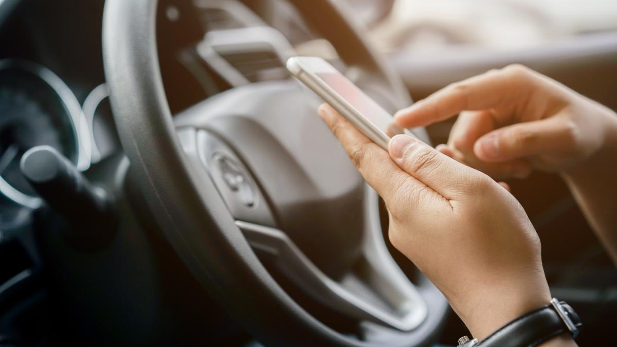 El inesperado problema con las licencias de conducir en Florida