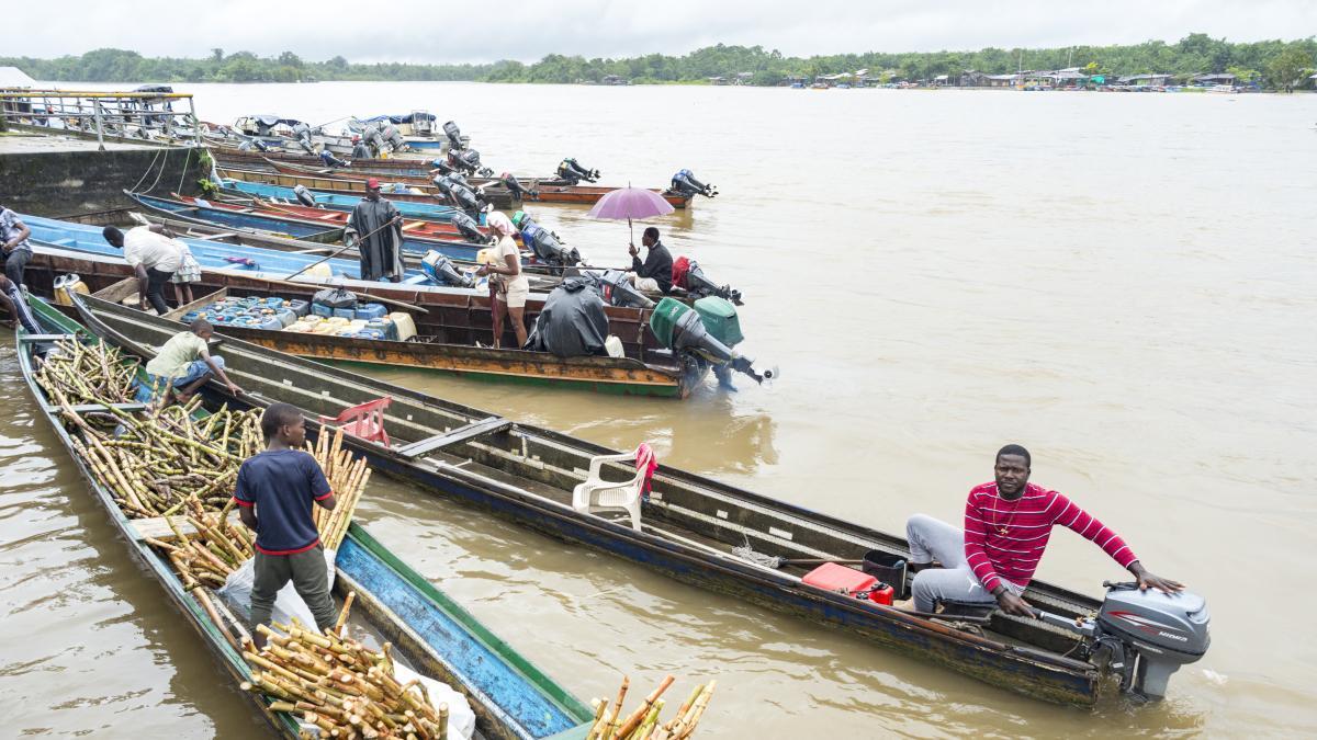 COP16: The Atrato River As A Subject Of Law And Other Important Court ...