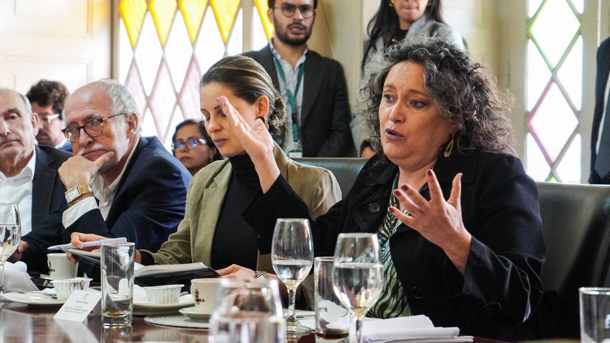 ‘Gobierno quiere más impuestos, pero tiene recursos guardados’: Angélica Lozano, presidenta de la Comisión Cuarta de Senado