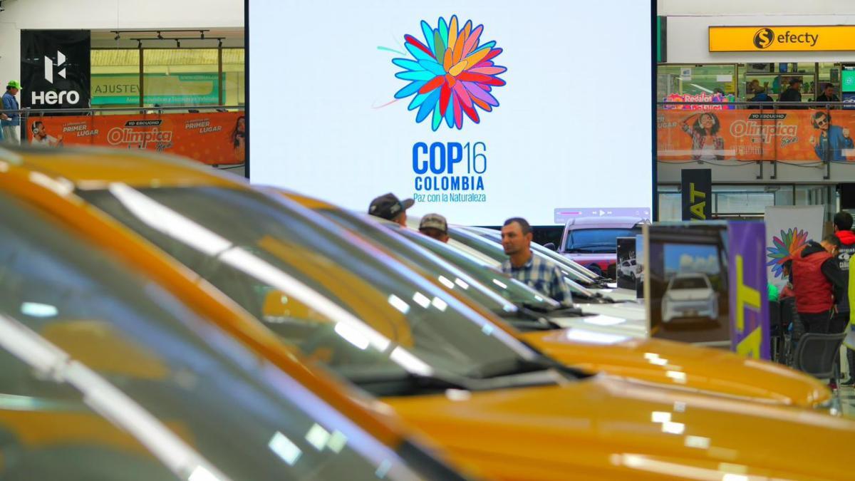 COP16: esta es la agenda de la Zona Verde para que la ciudadanía viva la cumbre de manera gratuita