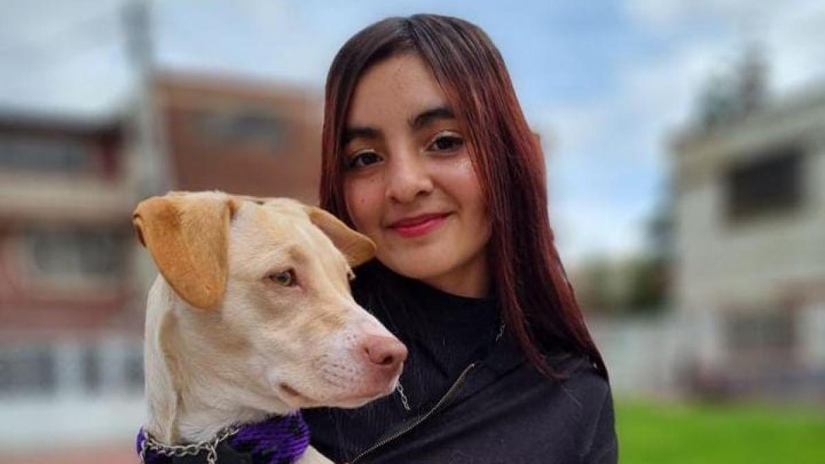 La extraña desaparición de la menor Wendy Rodríguez mientras paseaba a su perro en Bogotá: ‘Si alguien la tiene, que nos la entregue’ 