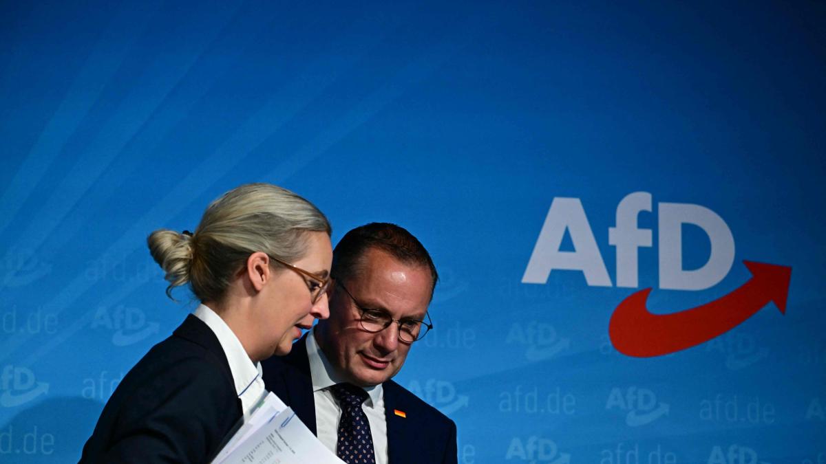 Alternativa para Alemania demanda contra su clasificación como partido 'extremista': ¿qué opinan los alemanes?