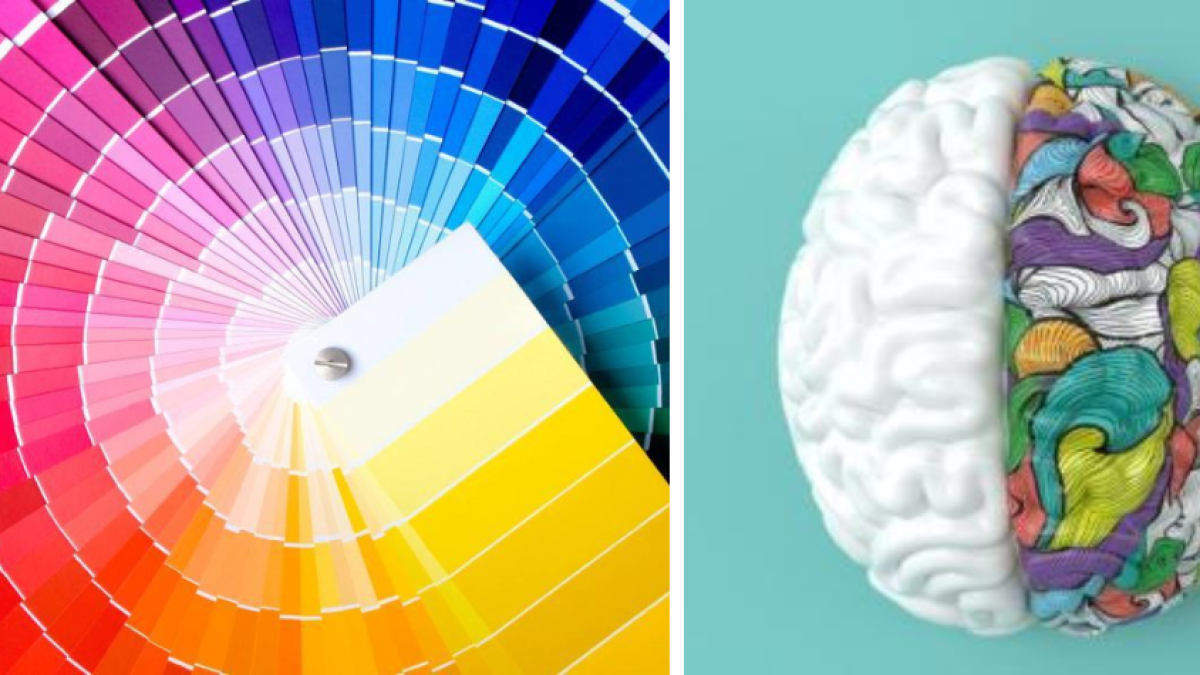 Conozca los colores favoritos de las personas más inteligentes, según la IA