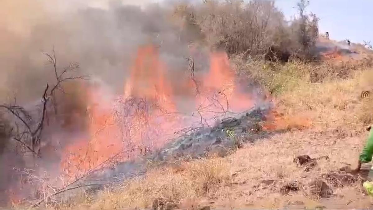 Tolima tiene más de 8.000 hectáreas verdes consumidas por incendios: autoridades piden ayuda urgente al gobierno nacional