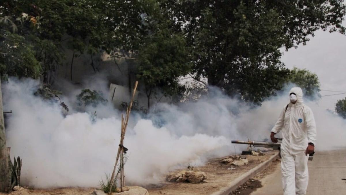 En Sucre descubren al ‘mosquito tigre’ transmisor de un dengue más letal y otras enfermedades