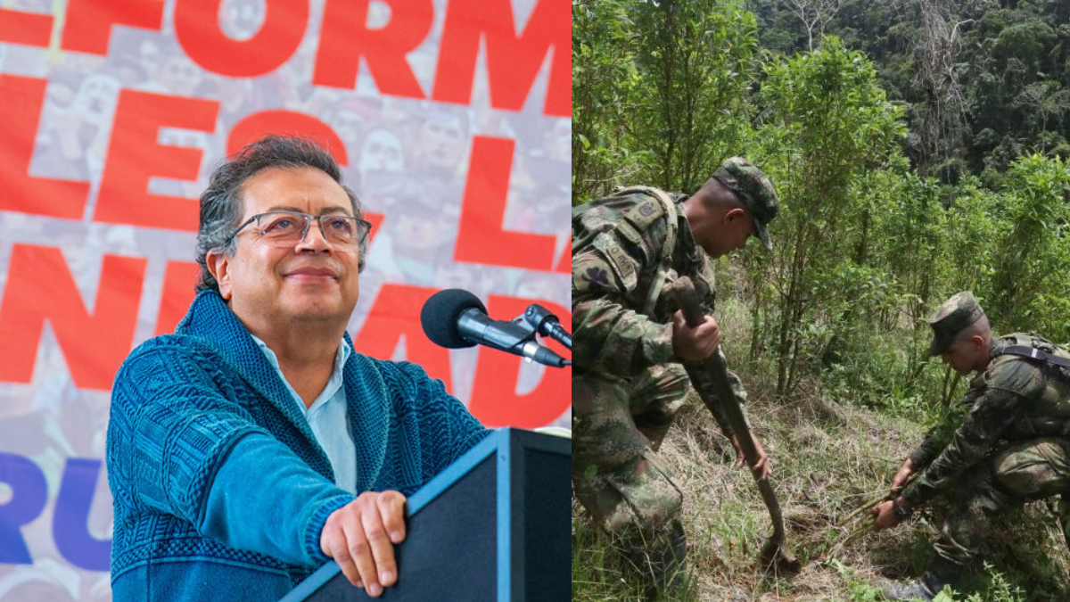 Presidente Gustavo Petro destacó certificación de EE.UU. en la lucha contra las drogas: 'Golpeamos de verdad al gran narcotráfico'