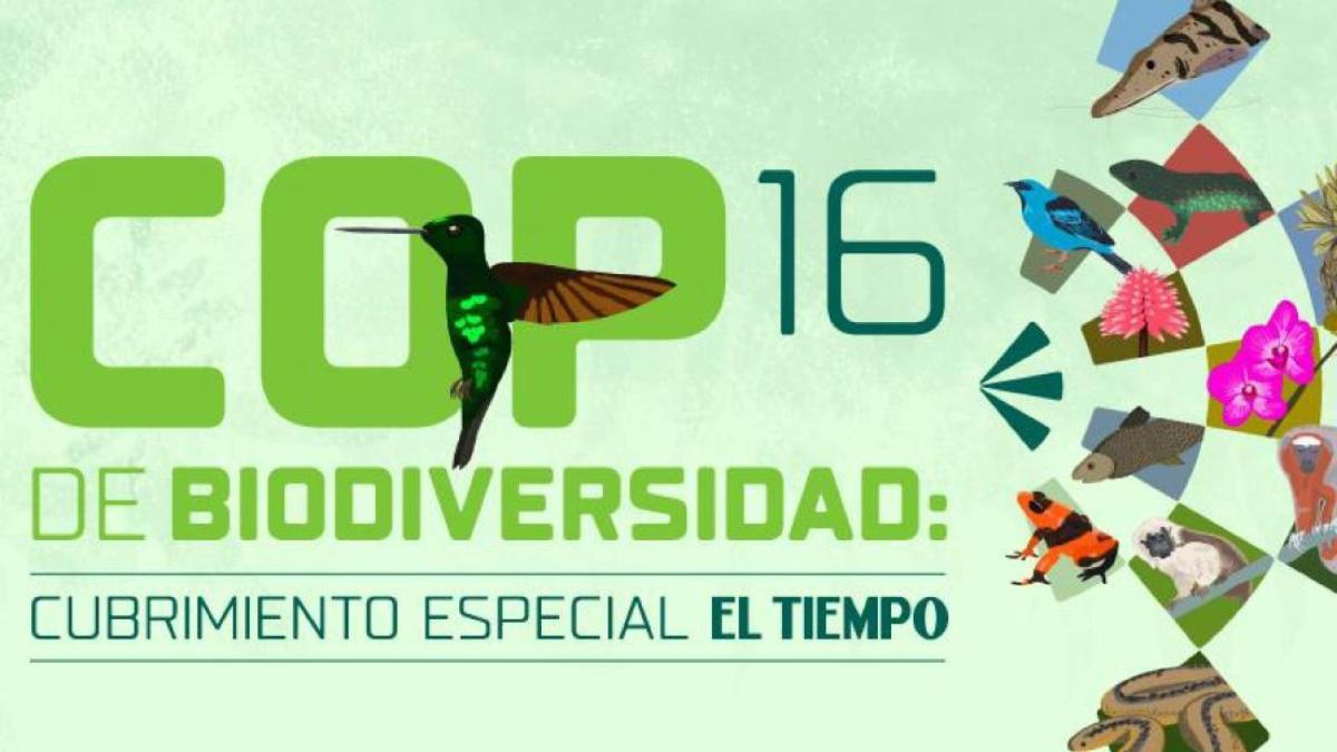 Los recursos que le dejará a Colombia hacer la COP16: ¿cuánto cuesta y cuánto inyectará a la economía la cumbre?