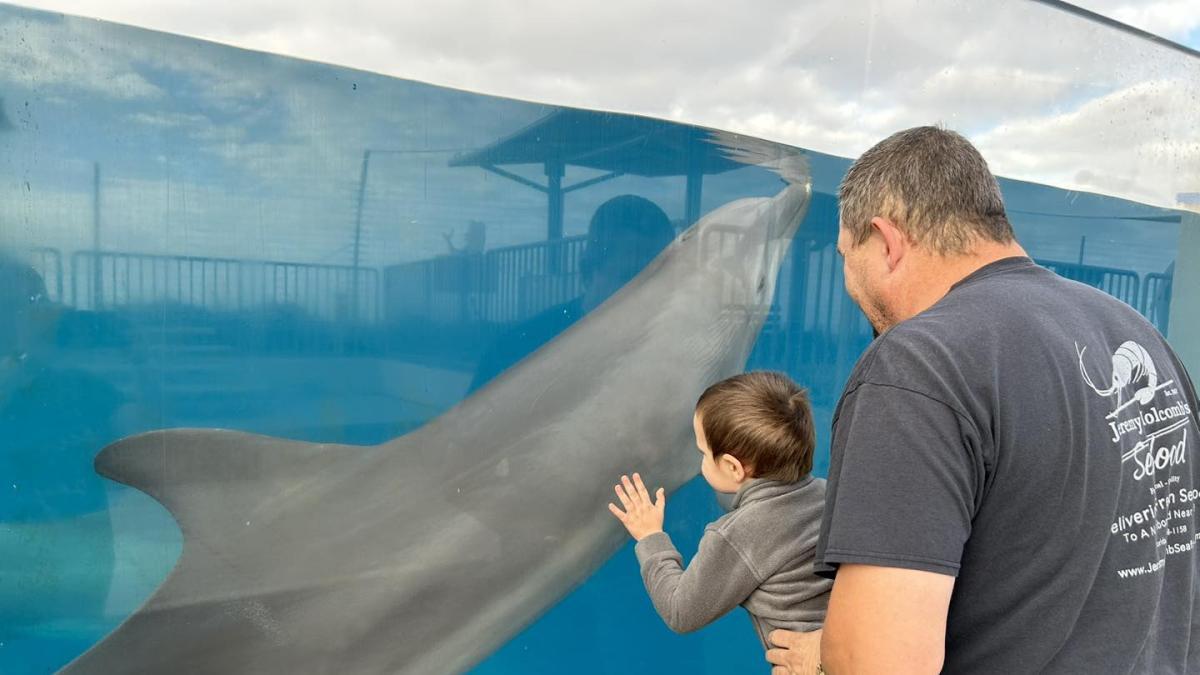 El parque de aventuras frente al mar en Florida que debería visitar (no es Disney)