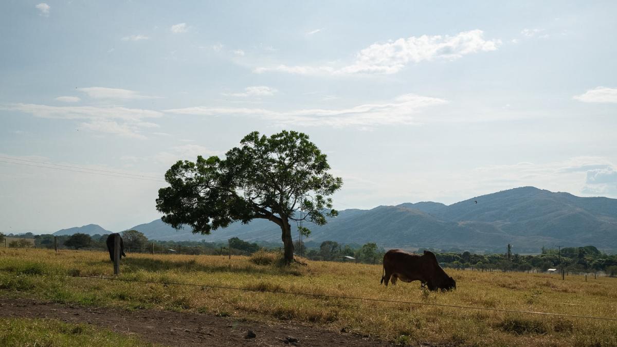 Más 94 familias víctimas del proyecto hidroeléctrico El Quimbo reciben tierras de la reforma agraria