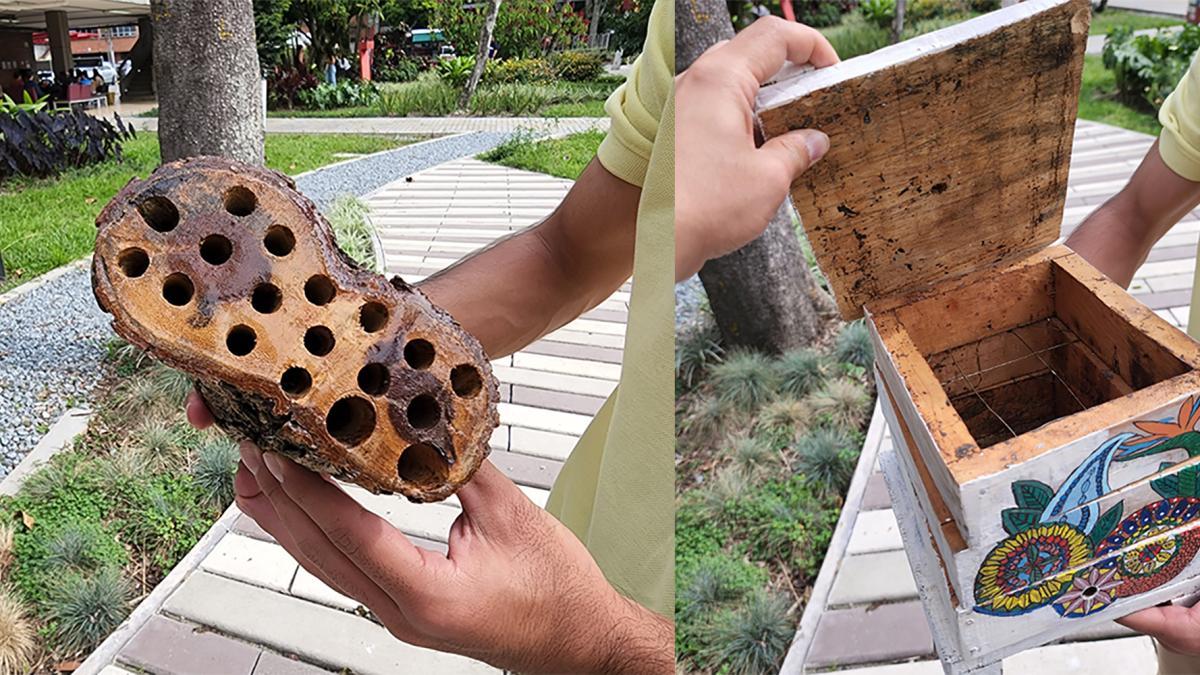 Universidad de Medellín crea hoteles para abejas en su campus para ayudar a su conservación 