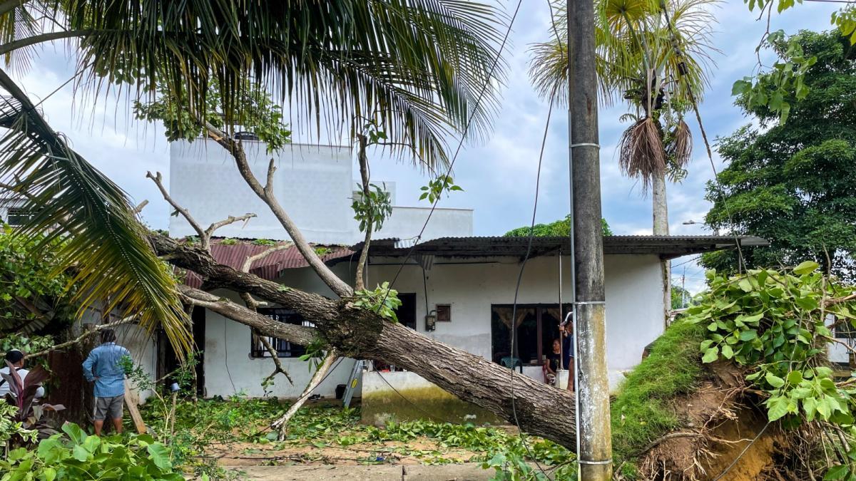 Vendaval destechó un centenar de viviendas en Guainía y afectó más de 500 personas