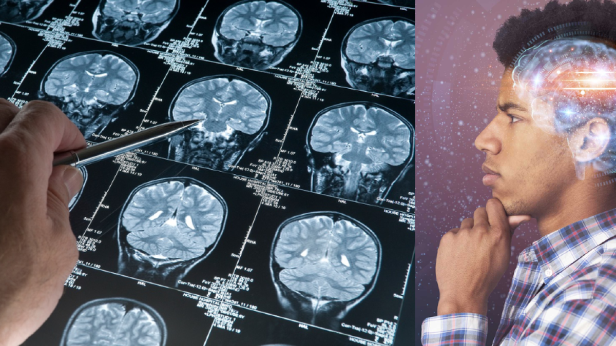 Un estudio muestra que el cerebro de los hombres se ‘encoge’ en estos horarios y luego se reinicia