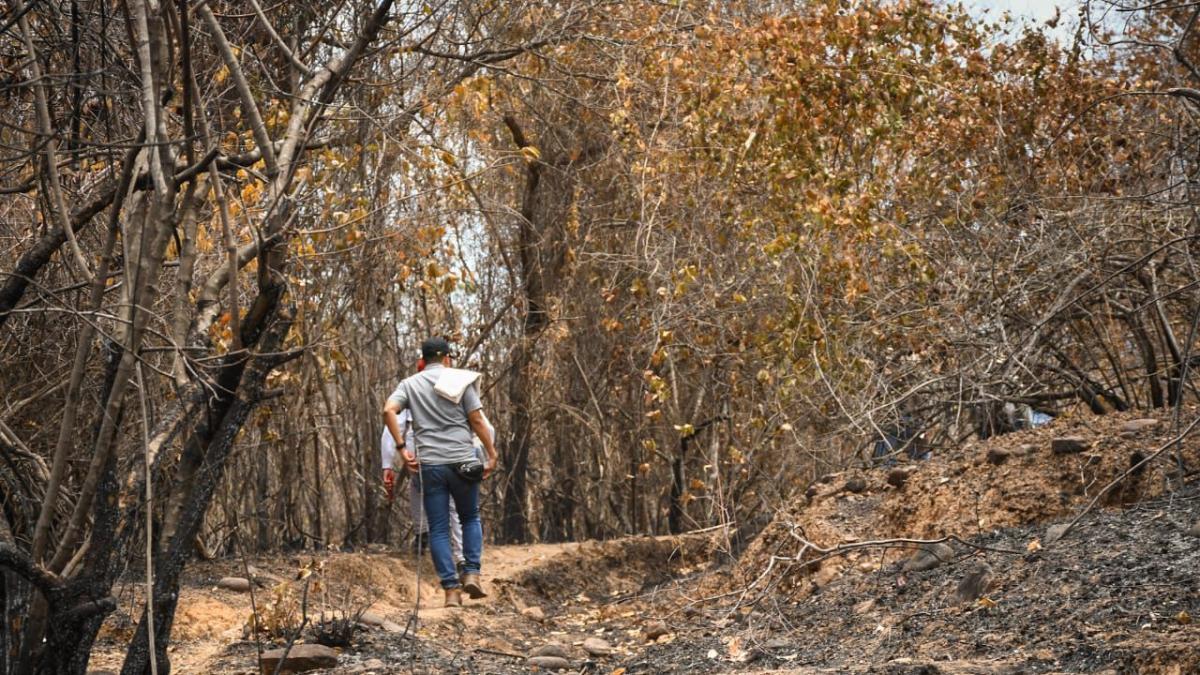 La vida en el sur del Tolima a más de 42 grados centígrados, con poca agua y en medio de incendios forestales